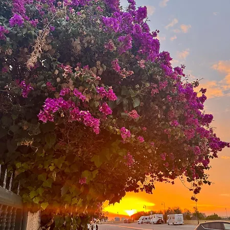 La Mata Apartamento Torrevieja