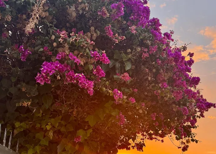 La Mata Appartement Torrevieja