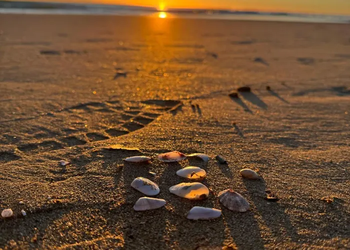 La Mata * Torrevieja