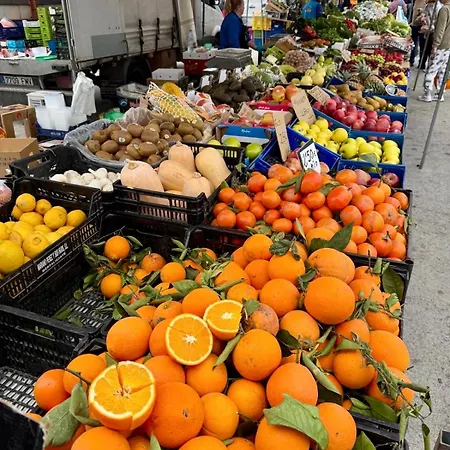 La Mata 公寓 托雷维耶哈